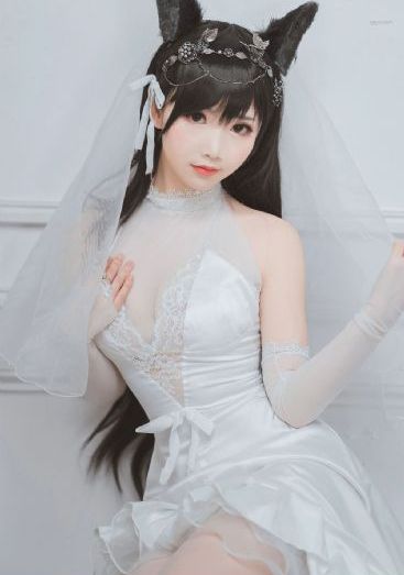 绝密543全集免费完整版