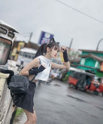 沙滩鼠